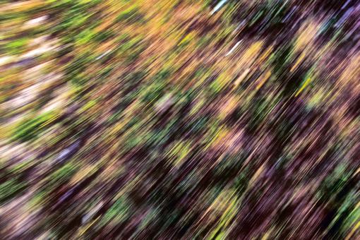 Free Stock Photo of abstract background