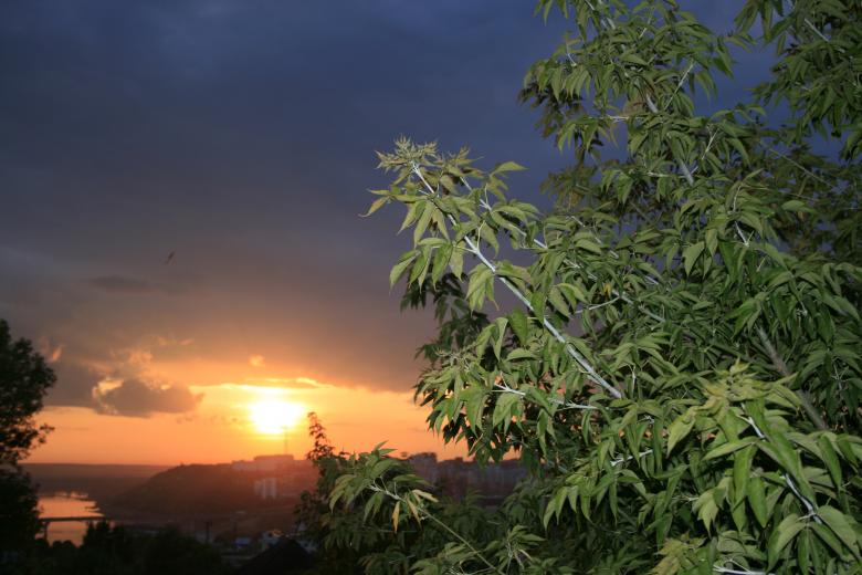Free stock image of sunset scene created by 2happy