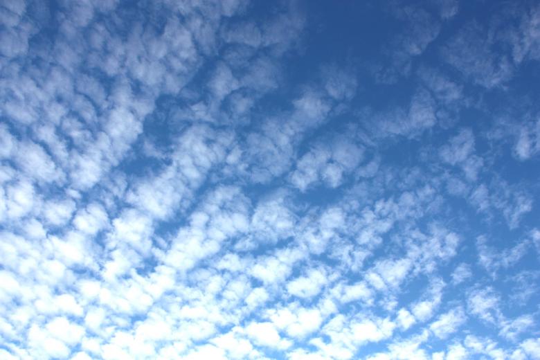 Free stock image of Blue Sky created by Alyssa Fritch