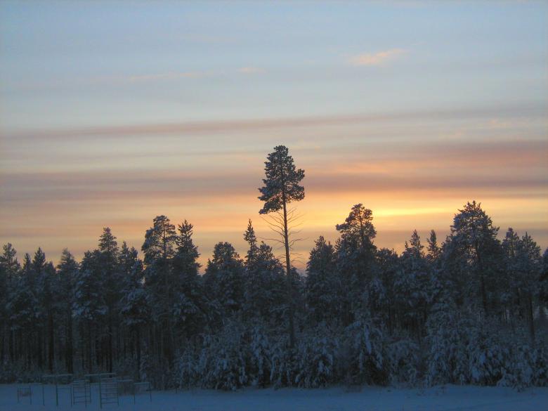 Free stock image of Winter  created by 2happy