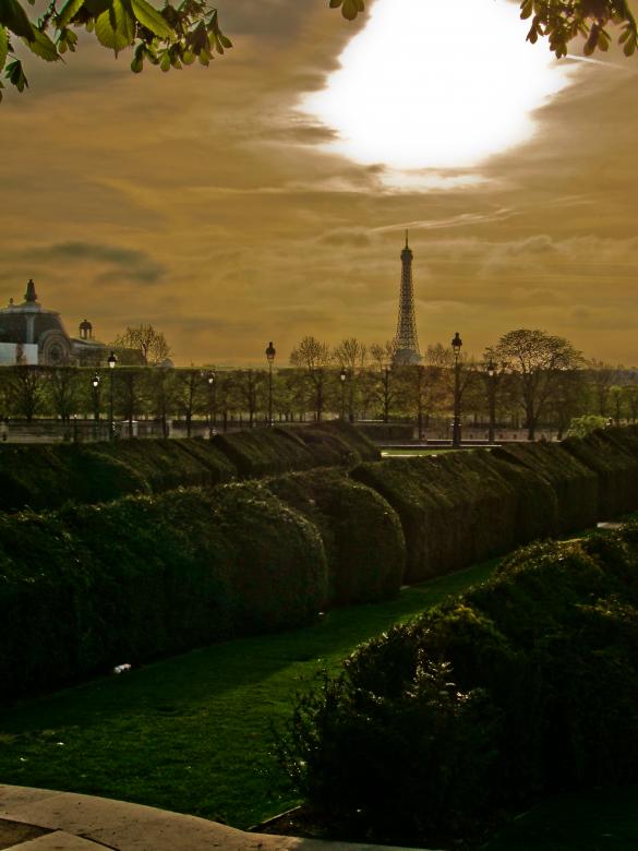 Free stock image of Eiffel from the Louvre created by Brian