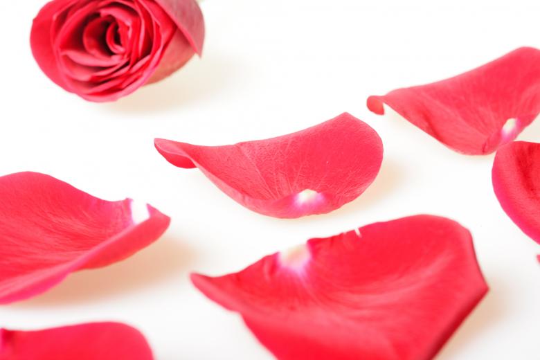 Free stock image of rose petals created by 2happy