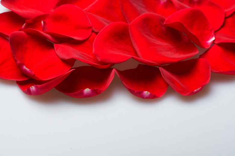 Free stock image of rose petals created by 2happy