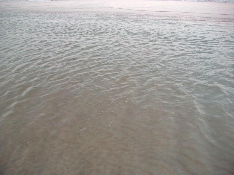 Free stock image of Beach created by Shelby G