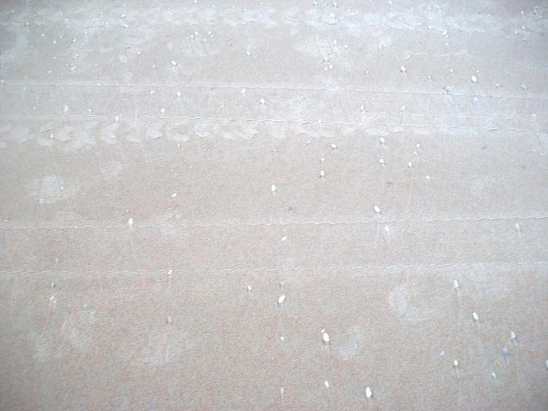 Free stock image of Beach created by Shelby G