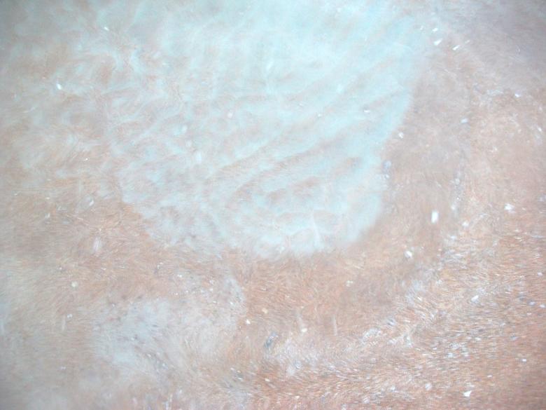 Free stock image of Beach created by Shelby G