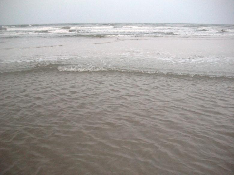 Free stock image of Beach view created by Shelby G
