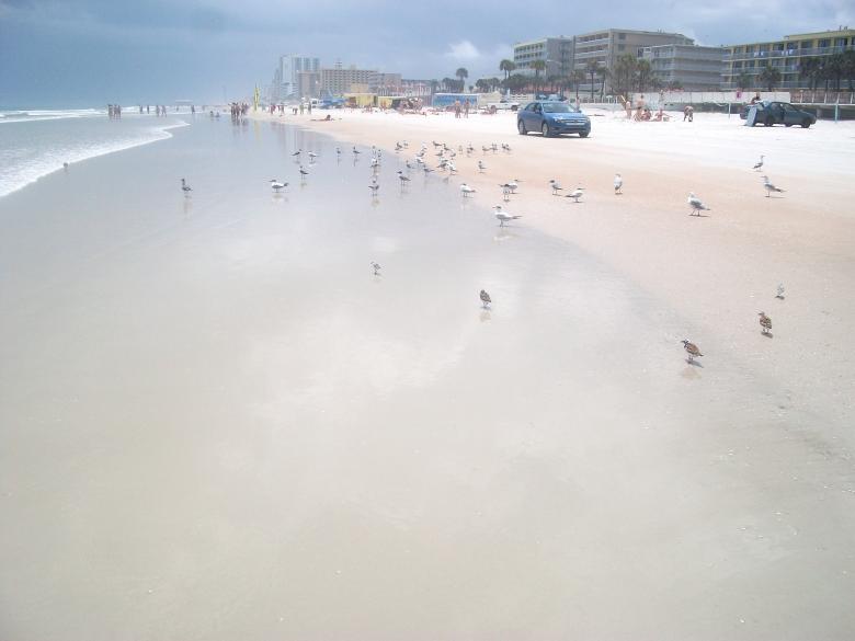 Free stock image of Sandy Beach created by Shelby G