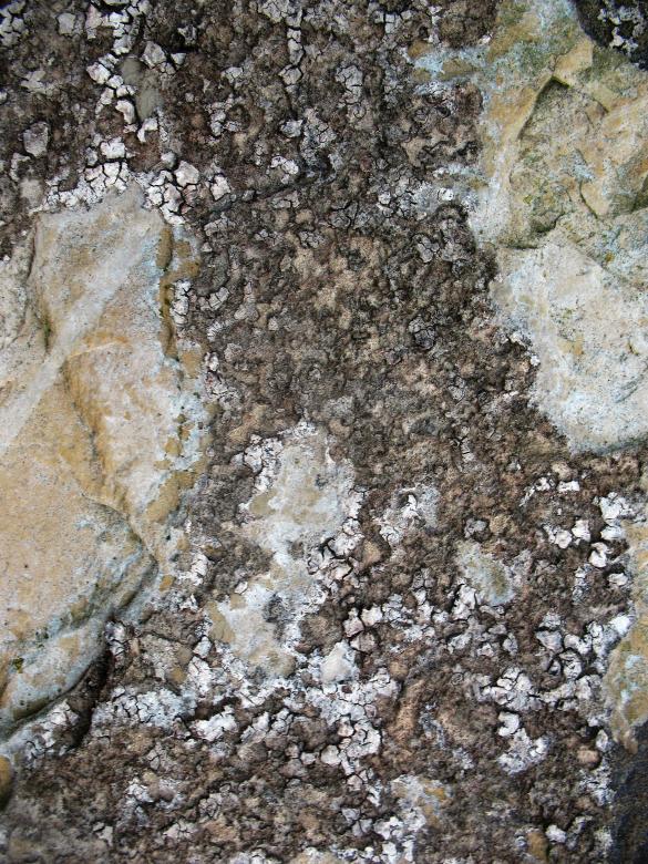 Free stock image of Stone Surface Texture created by Free Texture Friday