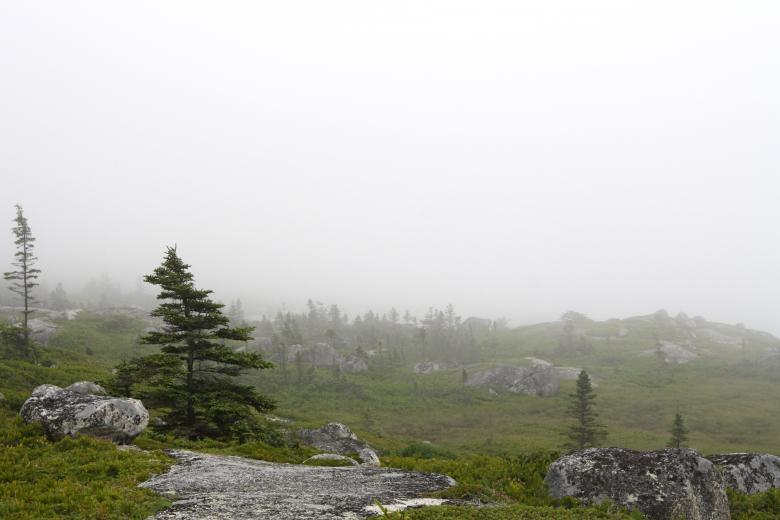 Free stock image of Foggy landscape created by Danny Ouellet