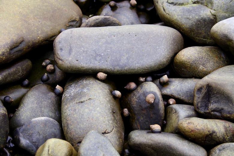 Free stock image of Stones created by Danny Ouellet