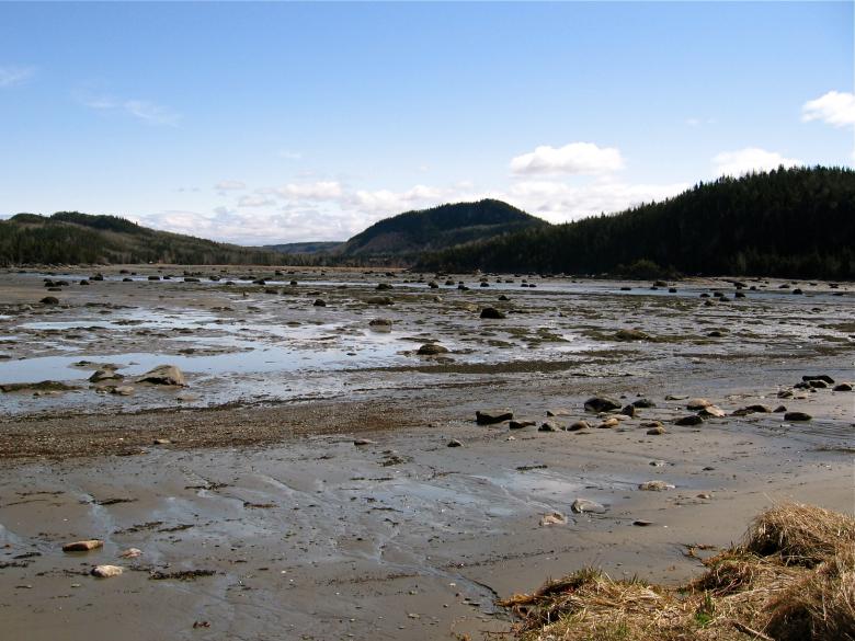 Free stock image of Beach created by Danny Ouellet