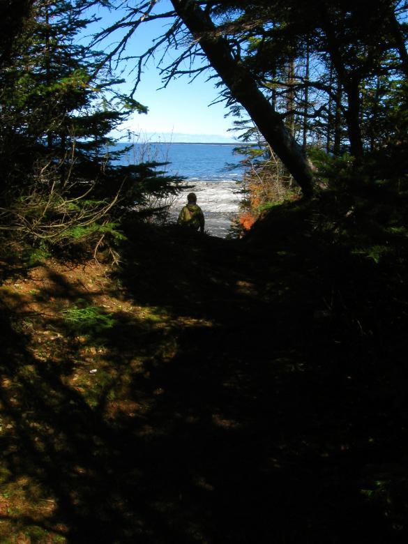 Free stock image of Woods created by Danny Ouellet