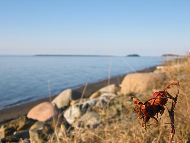 Free stock image of Shore created by Danny Ouellet