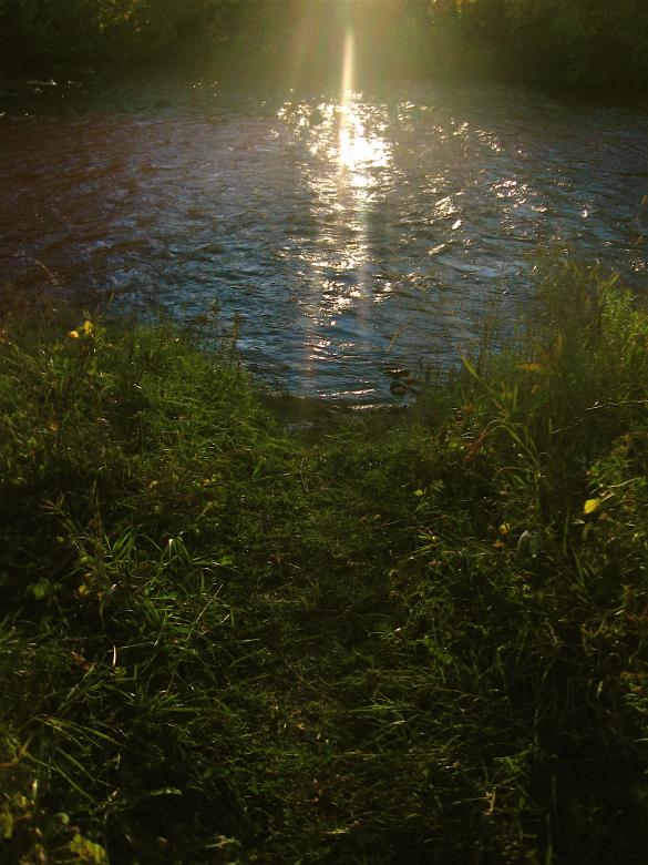 Free stock image of Forest Light created by Danny Ouellet