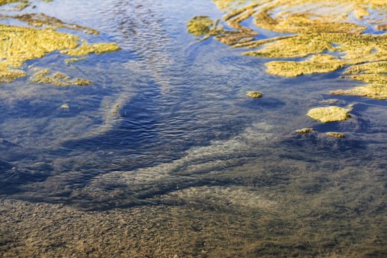 Free stock image of Water scene created by 2happy