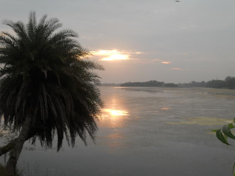 Free stock image of Sunset created by Arjun Chourasia