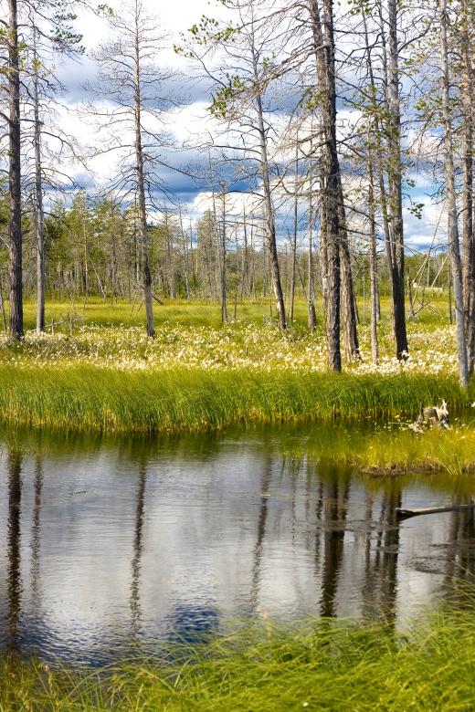 Free stock image of nature  created by 2happy