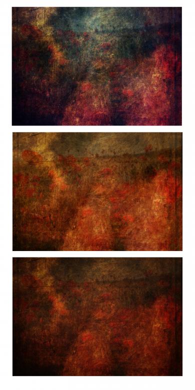 Free stock image of Texture Trio created by Rachael Towne