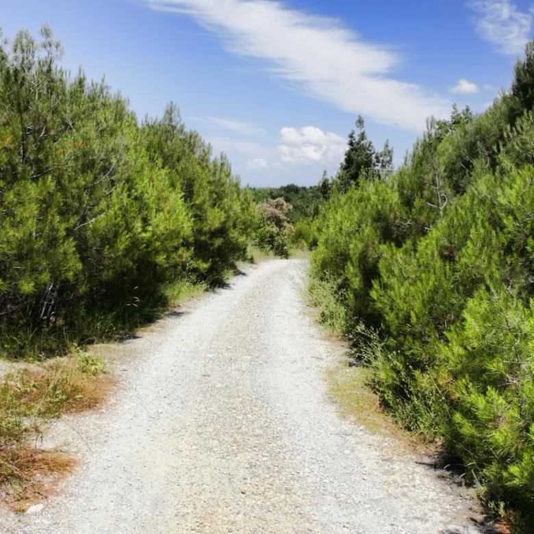 Free stock image of road created by 2happy