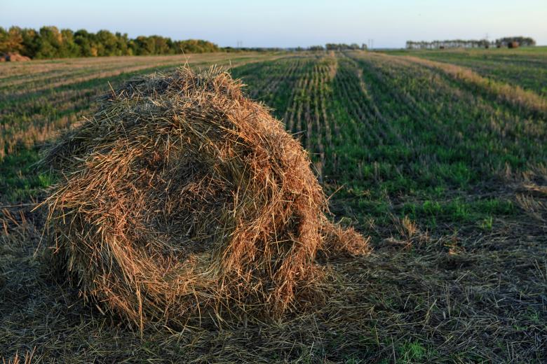 Free stock image of haystack created by 2happy