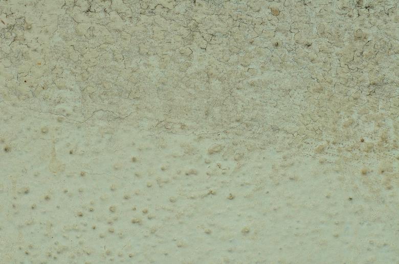 Free stock image of Cracked plaster created by rudy bagozzi