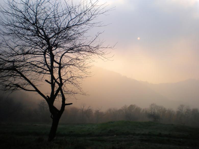 Free stock image of Landscape at sunset created by rudy bagozzi