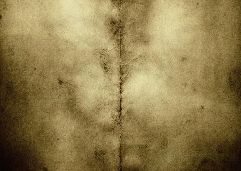 Free stock image of grunge background created by 2happy