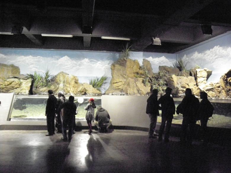 Free stock image of Aquarium in Istanbul. created by Yuliy Ganev