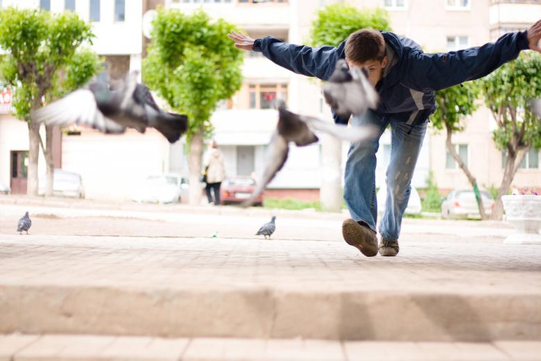 Free stock image of Fly created by 2happy