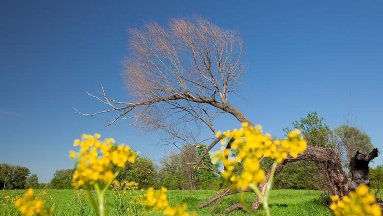 Free stock image of Rural landscape created by 2happy