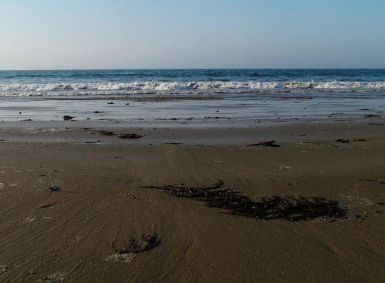 Free stock image of Beach created by virginie