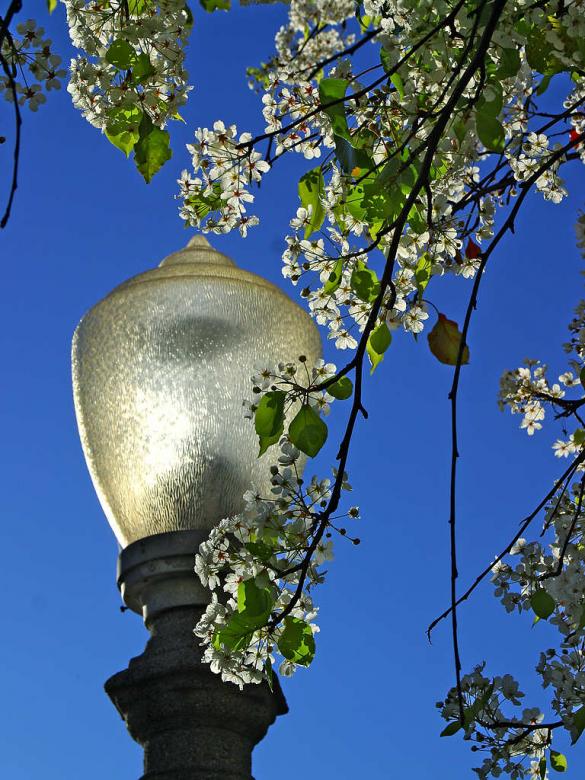 Free stock image of Outdoor light pole created by gilmartin owen
