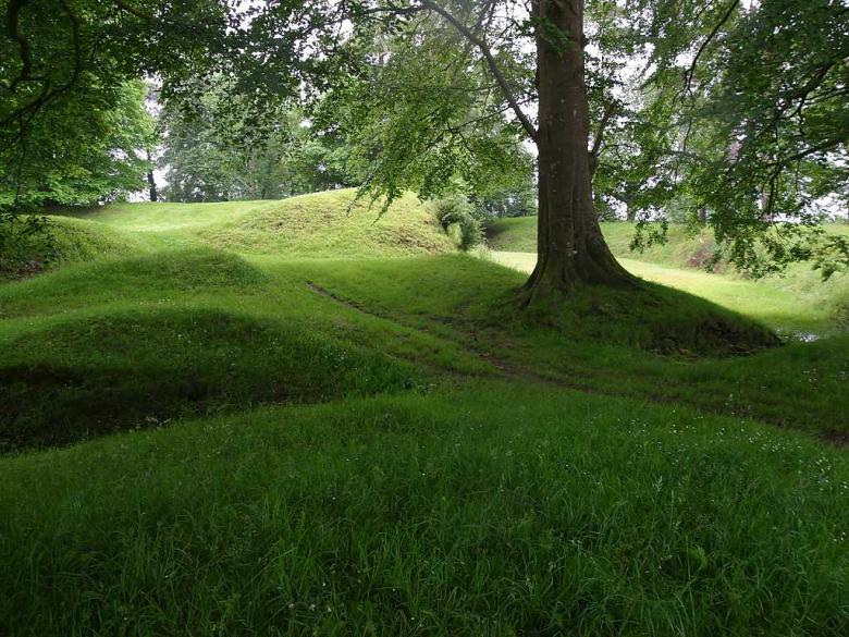 Free stock image of Green Woods created by gilmartin owen