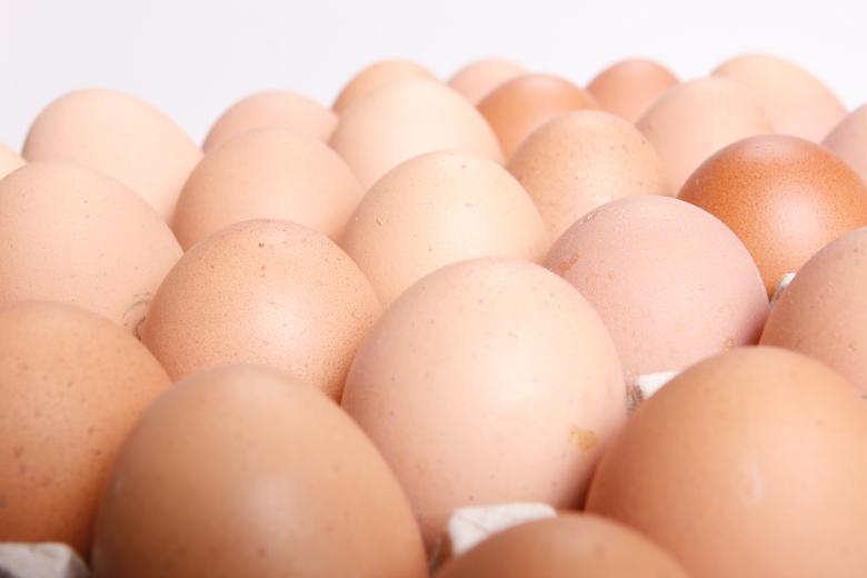 Free stock image of Eggs created by 2happy