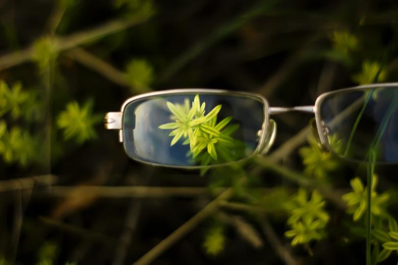 Free stock image of grass &amp; glasses created by 2happy