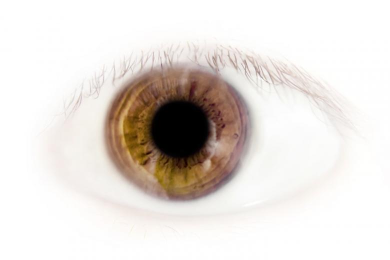 Free stock image of eye macro created by 2happy