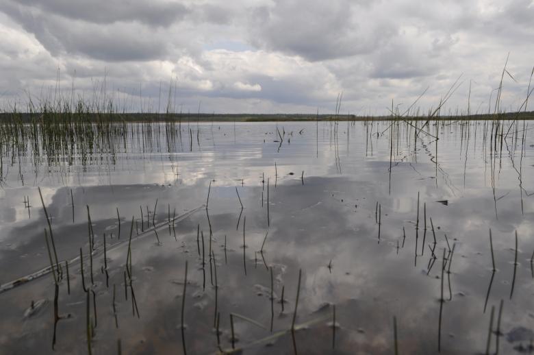 Free stock image of Calm lake created by Berdnik Oleksander