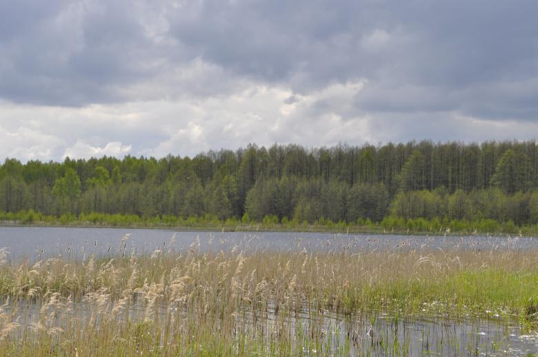 Free stock image of Lake created by Berdnik Oleksander