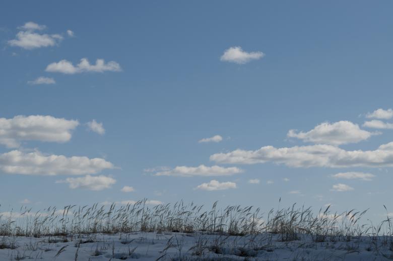 Free stock image of Blue sky created by Berdnik Oleksander