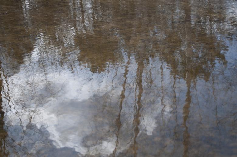 Free stock image of Mirror of water created by Berdnik Oleksander
