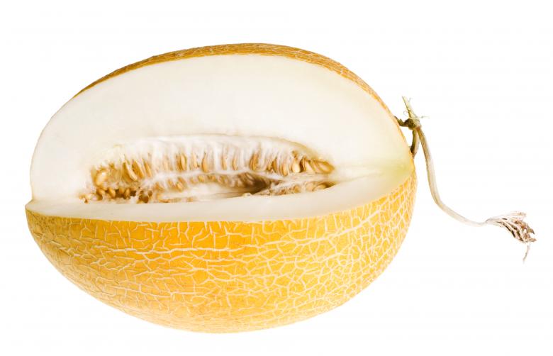 Free stock image of melon created by 2happy