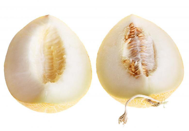 Free stock image of melon created by 2happy