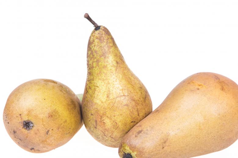Free stock image of pears created by 2happy