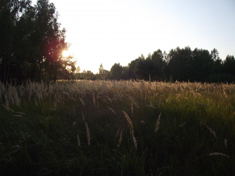 Free stock image of Sunset created by Berdnik Oleksander