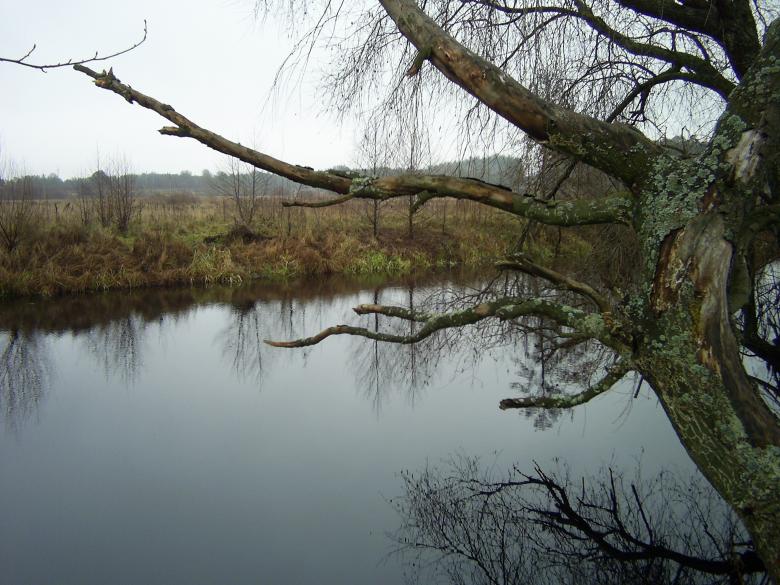 Free stock image of Lake created by Berdnik Oleksander
