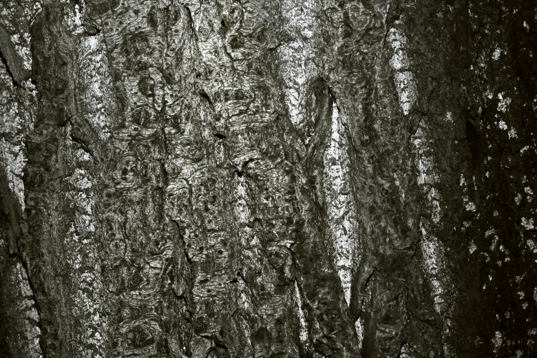 Free stock image of Grunge wooden background created by 2happy