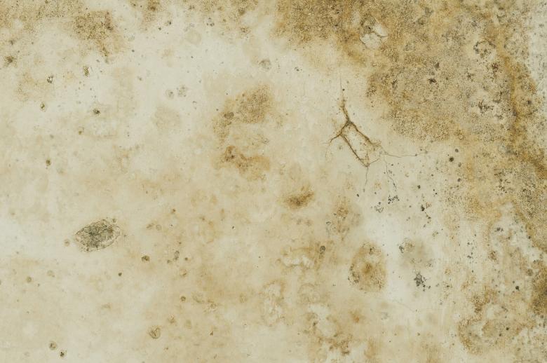 Free stock image of Grunge wall background created by rudy bagozzi