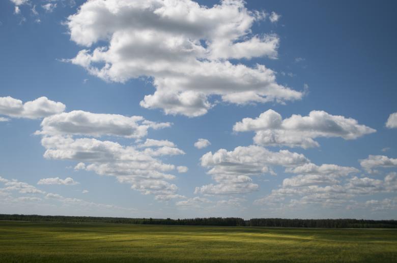Free stock image of Clouds created by Berdnik Oleksander