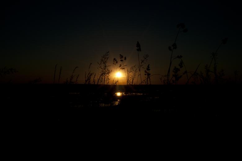 Free stock image of Light is in darkness created by Berdnik Oleksander